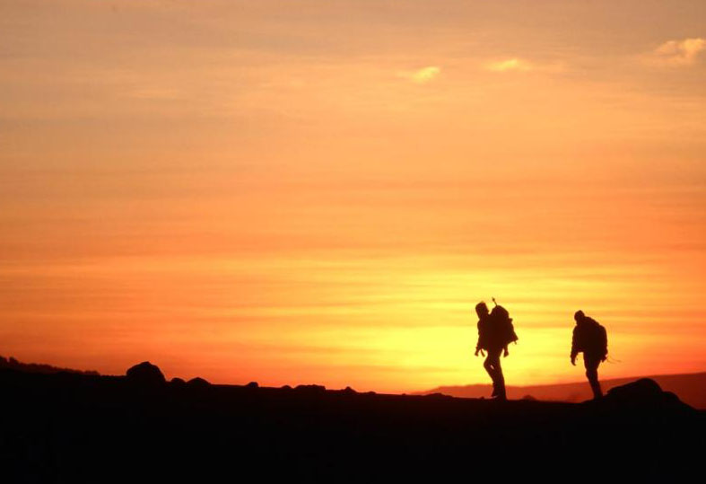 伟德bv国际体育