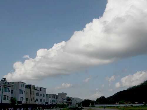 伟德bv国际体育