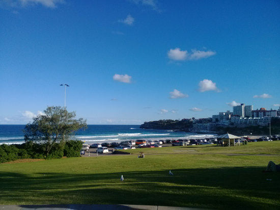 伟德bv国际体育