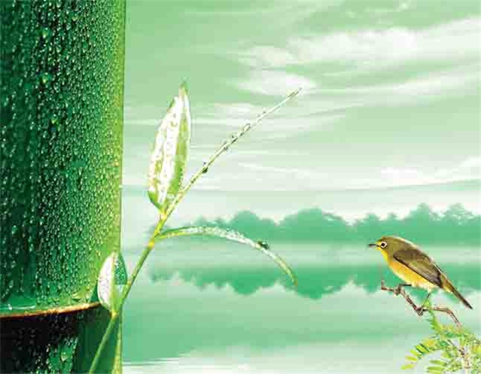 伟德bv国际体育