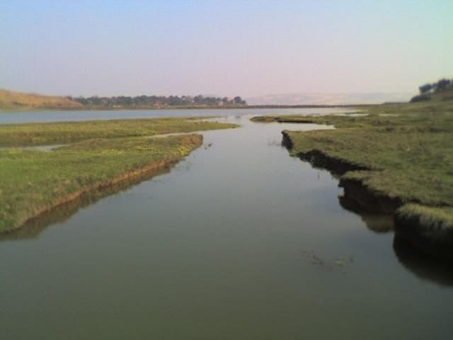 伟德bv国际体育