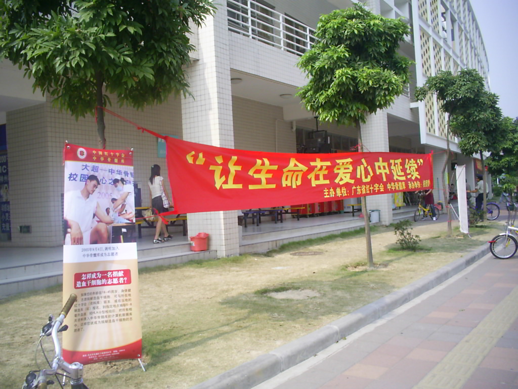 伟德bv国际体育