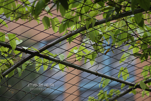 伟德bv国际体育