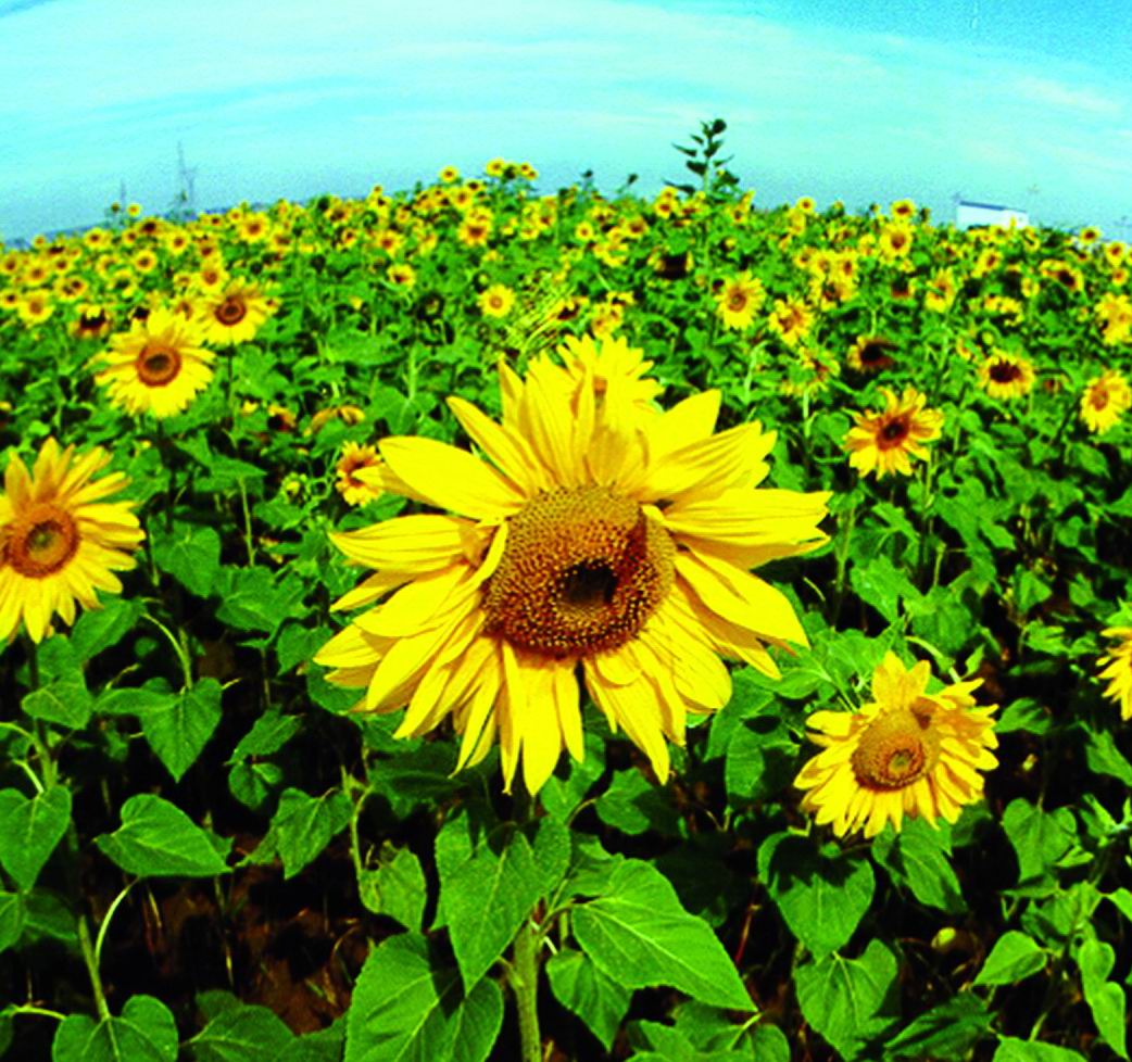 伟德bv国际体育