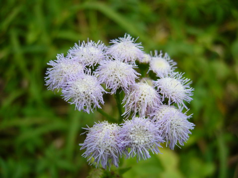 伟德bv国际体育