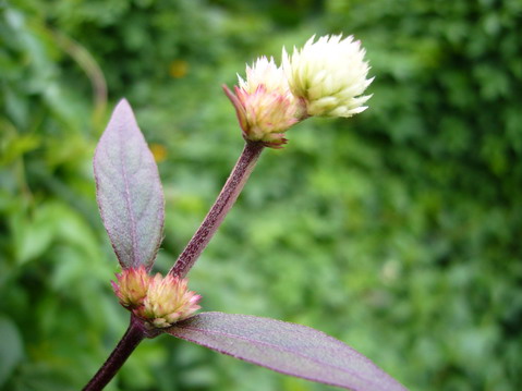 伟德bv国际体育