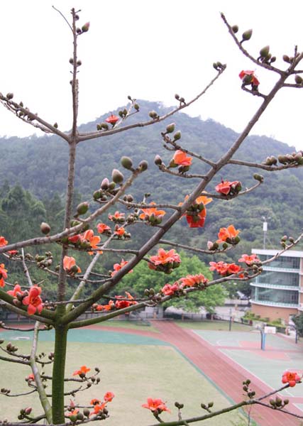 伟德bv国际体育