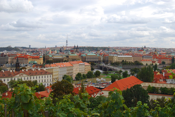 伟德bv国际体育