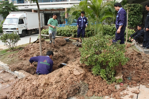 伟德bv国际体育