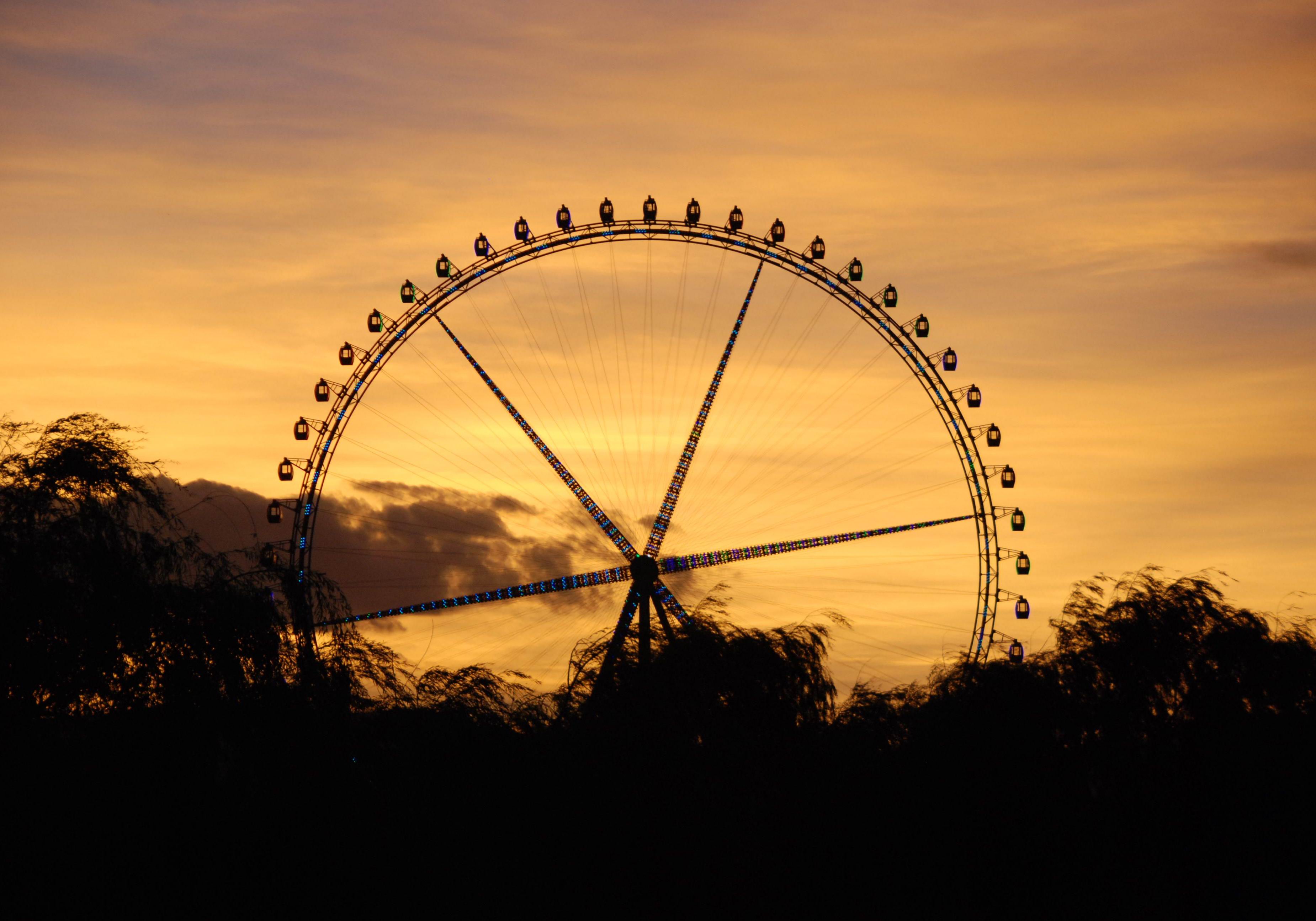 伟德bv国际体育