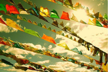 伟德bv国际体育