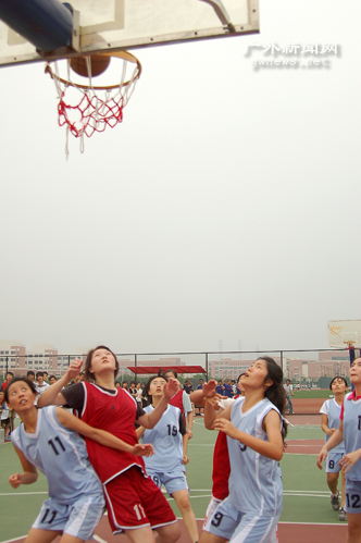 伟德bv国际体育