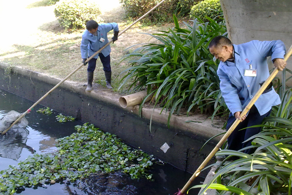 伟德bv国际体育