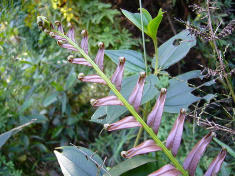 伟德bv国际体育