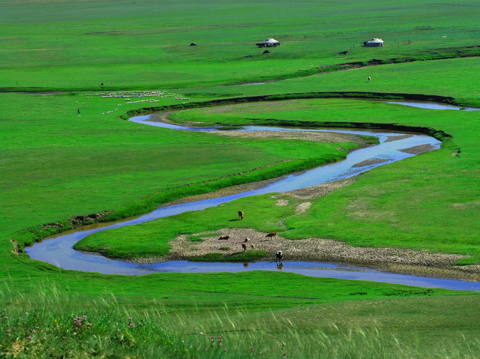 伟德bv国际体育