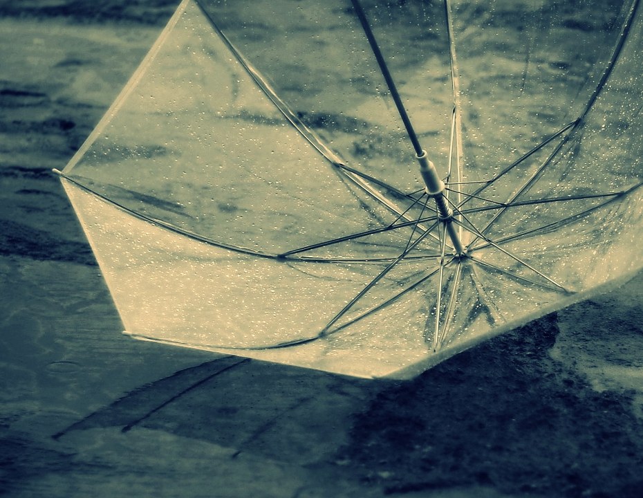 伟德bv国际体育