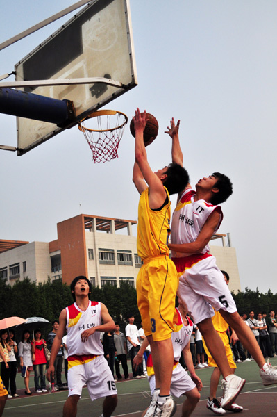 伟德bv国际体育