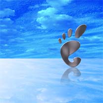 伟德bv国际体育