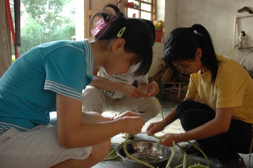 伟德bv国际体育