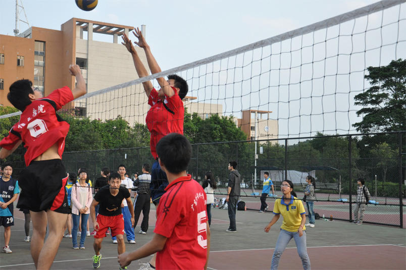 伟德bv国际体育