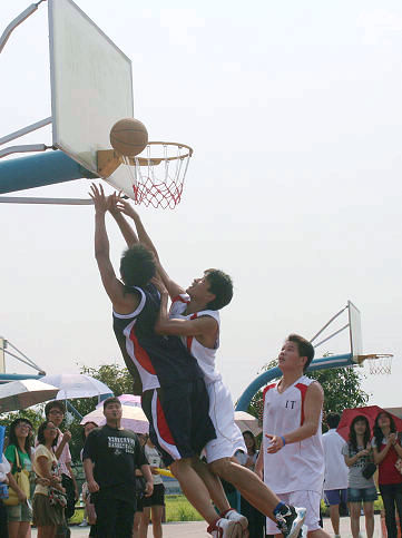 伟德bv国际体育