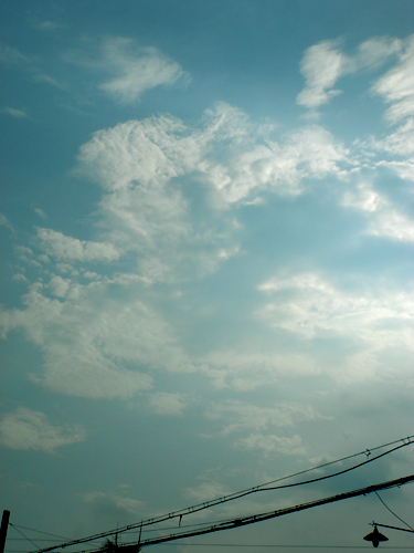 伟德bv国际体育