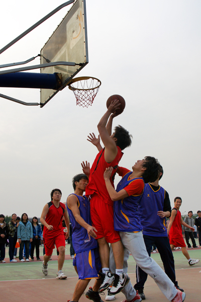 伟德bv国际体育