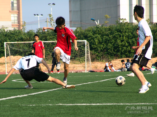 伟德bv国际体育