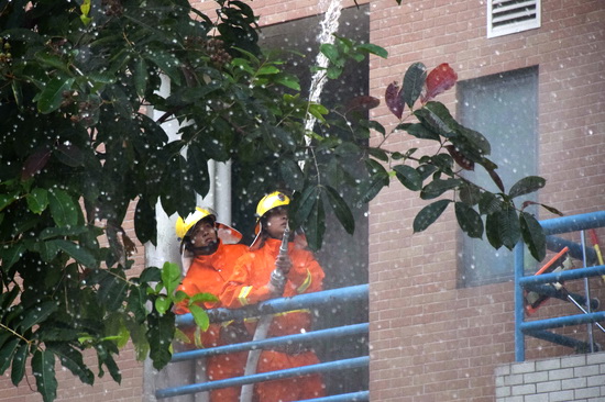 伟德bv国际体育