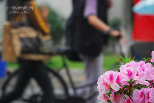 伟德bv国际体育