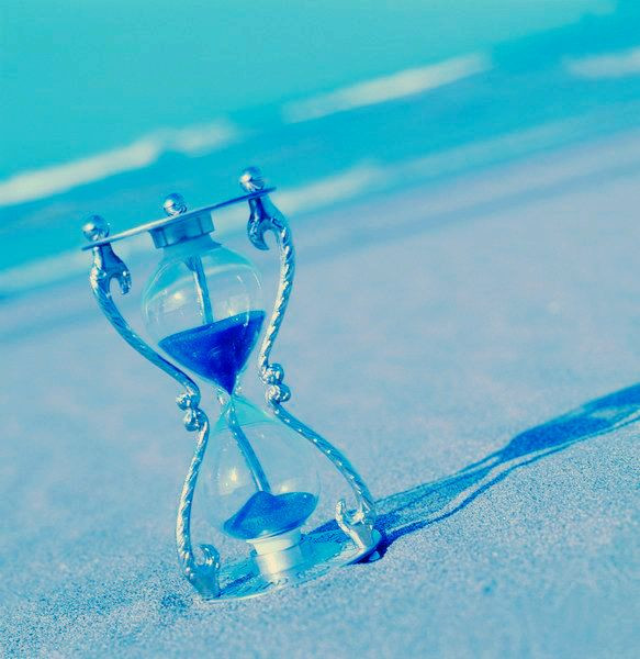 伟德bv国际体育