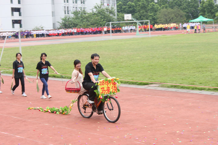 伟德bv国际体育