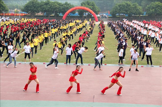 伟德bv国际体育