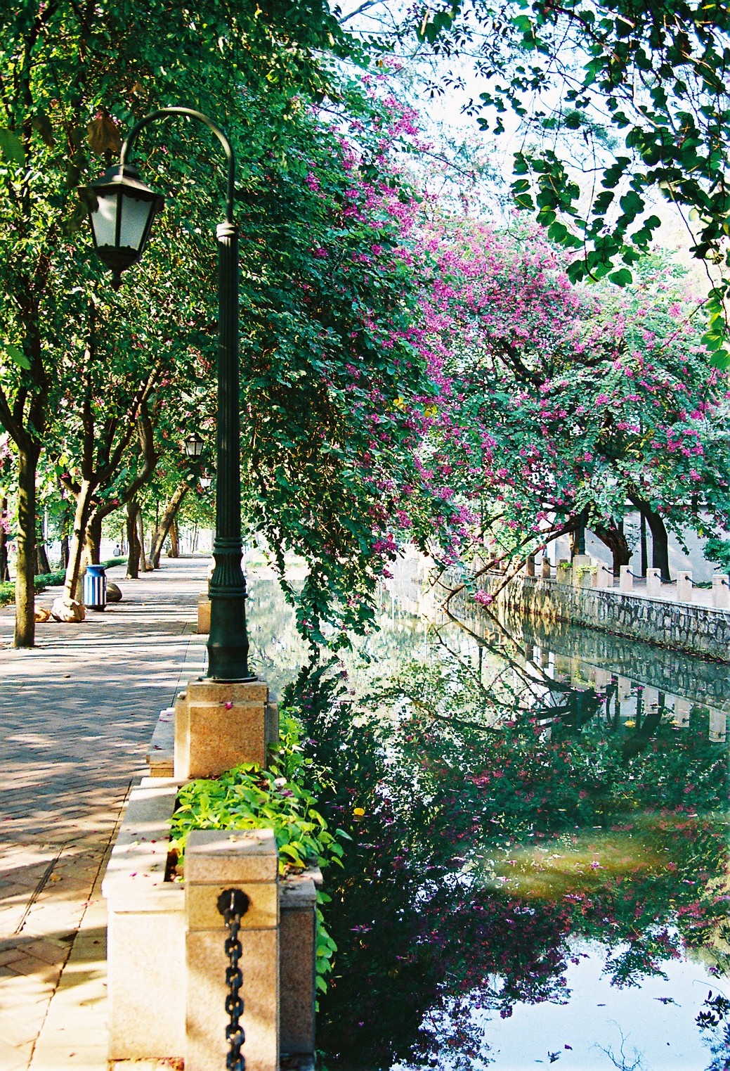 伟德bv国际体育