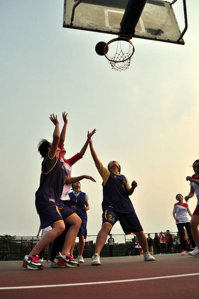 伟德bv国际体育