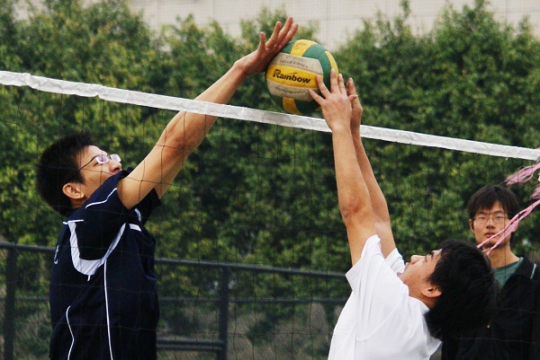 伟德bv国际体育