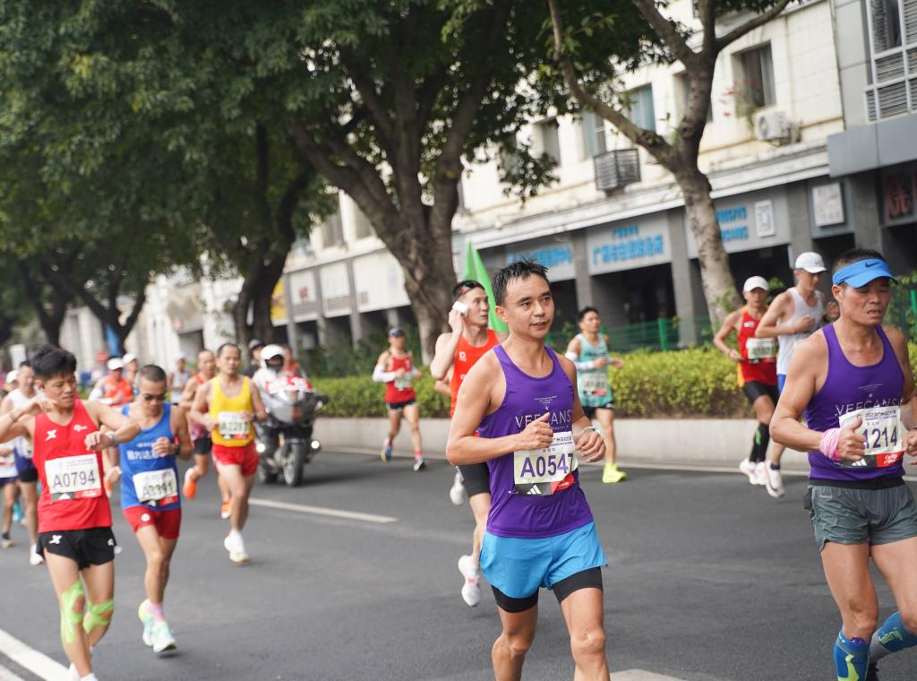 伟德bv国际体育