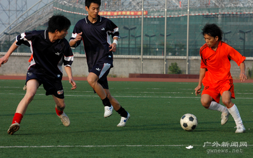 伟德bv国际体育