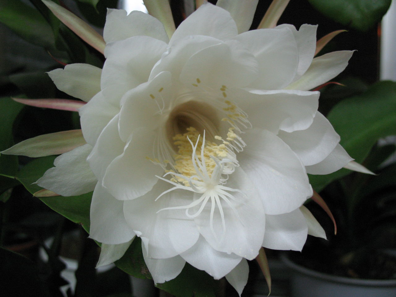 伟德bv国际体育