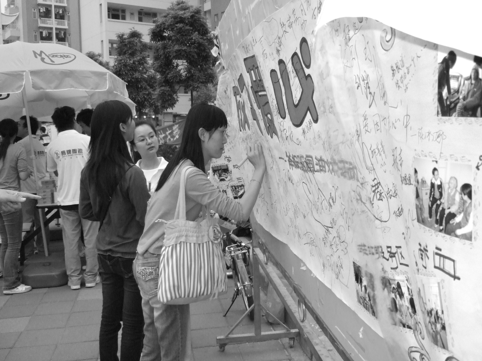 伟德bv国际体育