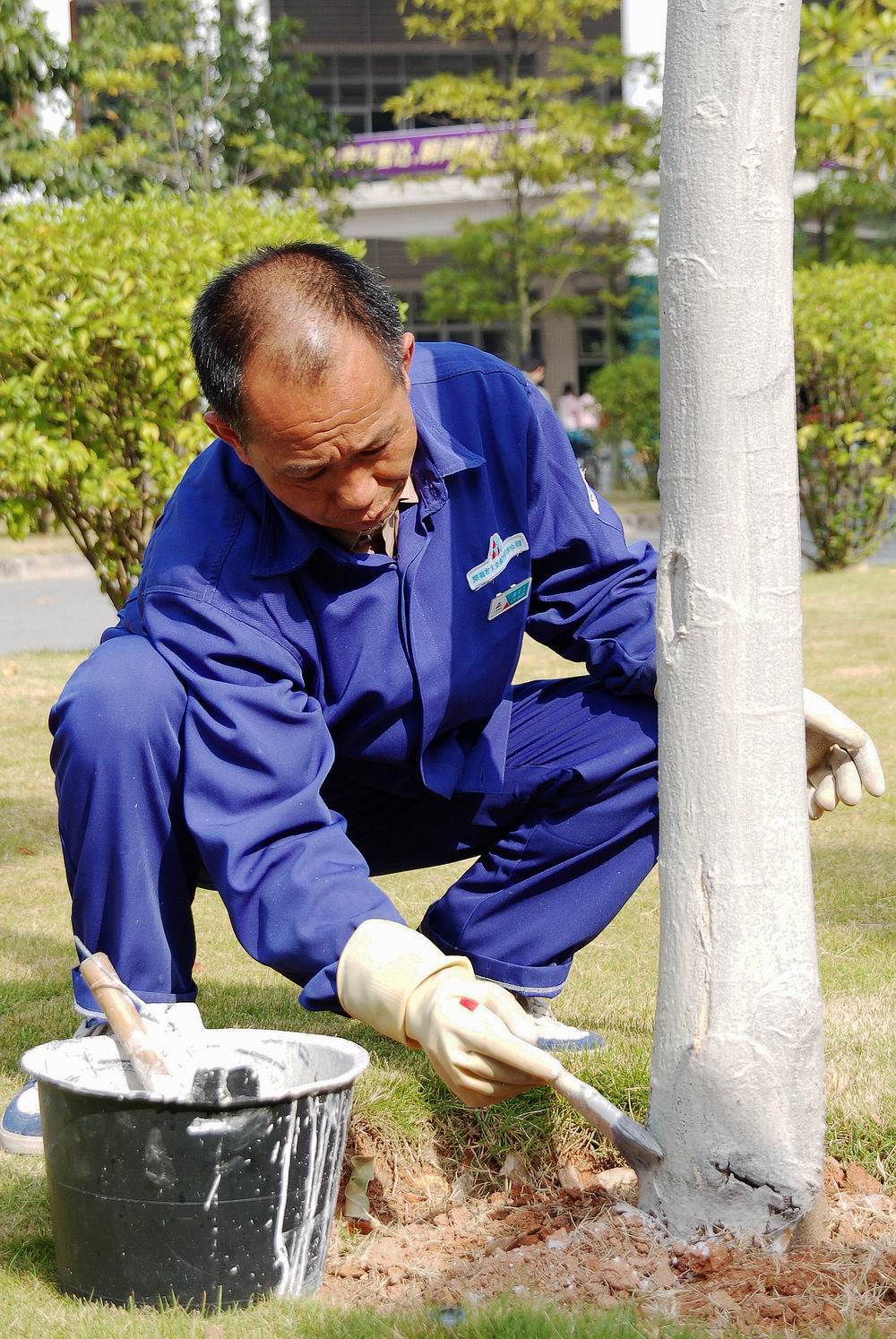 伟德bv国际体育