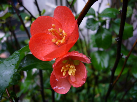 伟德bv国际体育