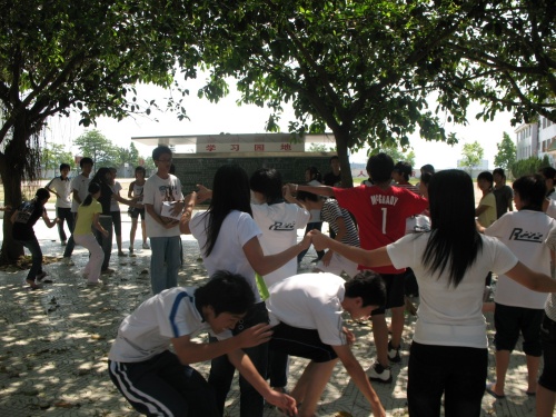 伟德bv国际体育