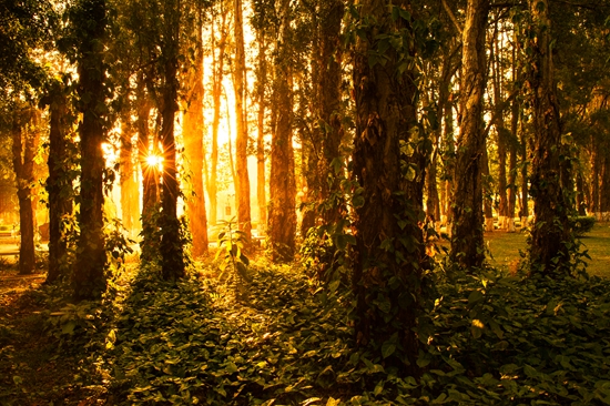 伟德bv国际体育