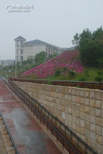 伟德bv国际体育