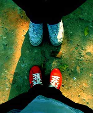 伟德bv国际体育