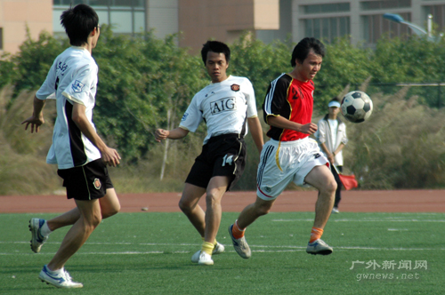 伟德bv国际体育