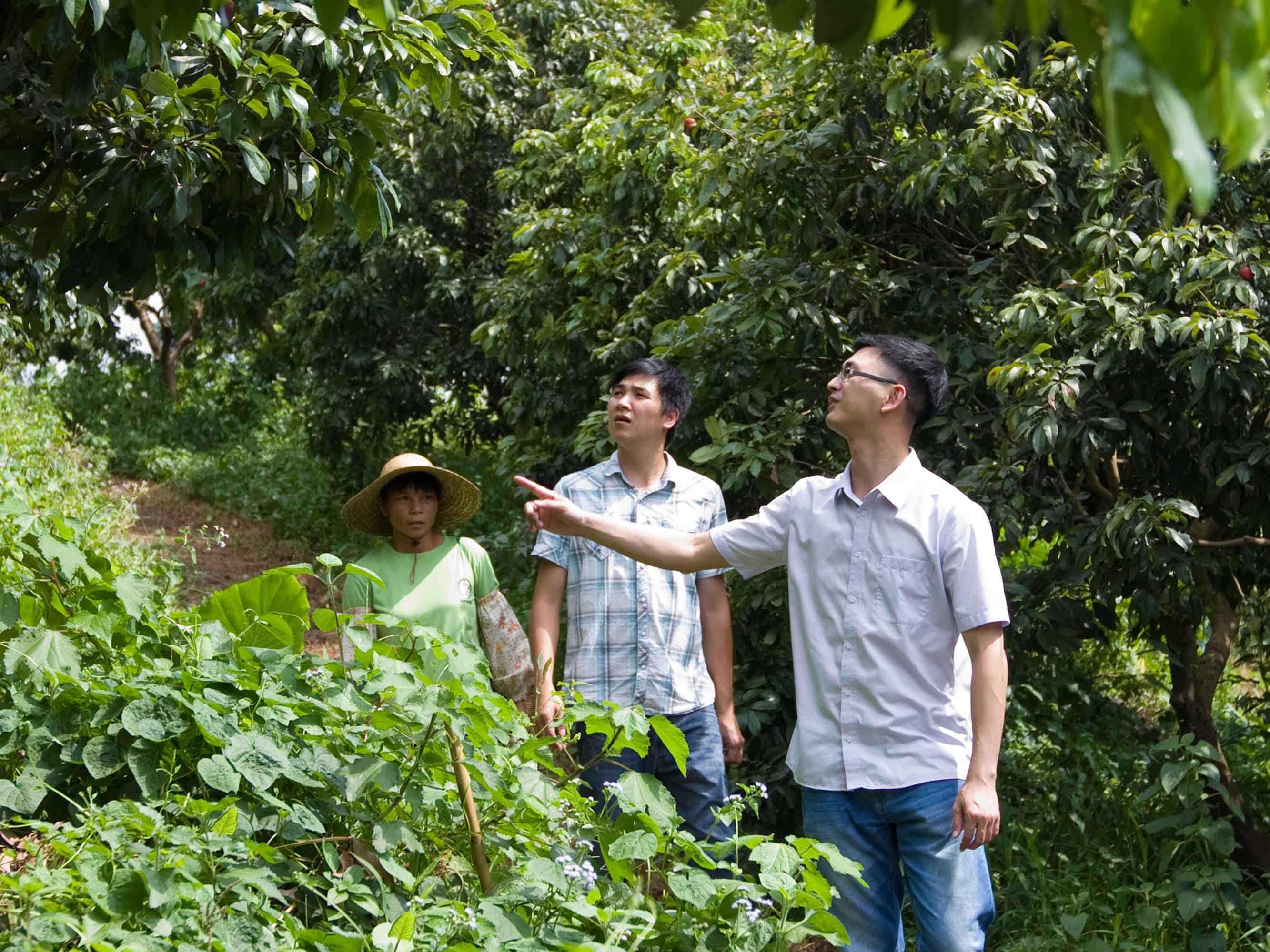 伟德bv国际体育