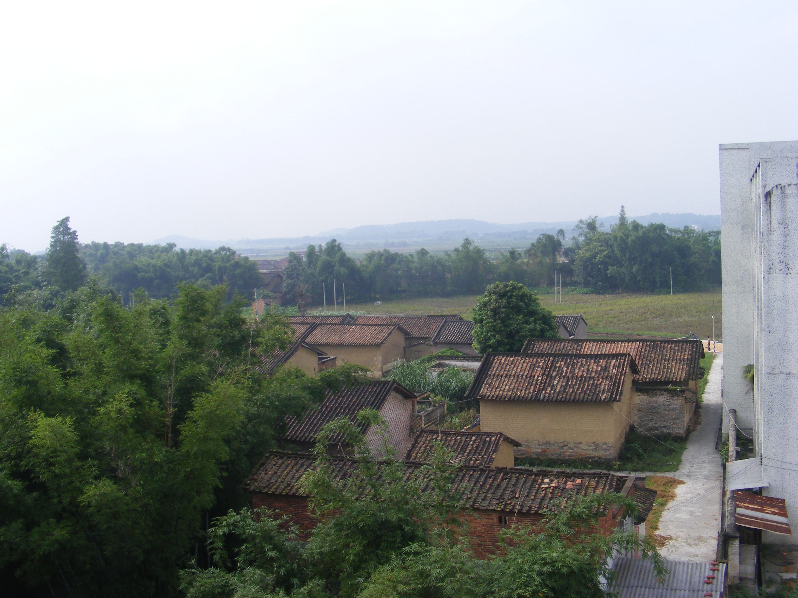 伟德bv国际体育