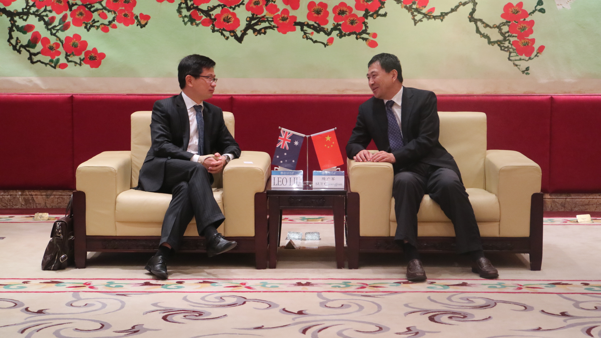 伟德bv国际体育